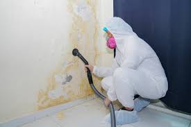 Reliable Murphysboro, IL Mold Prevention & Removal  Solutions